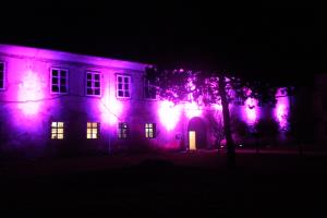 21.11.2019 - slika 2